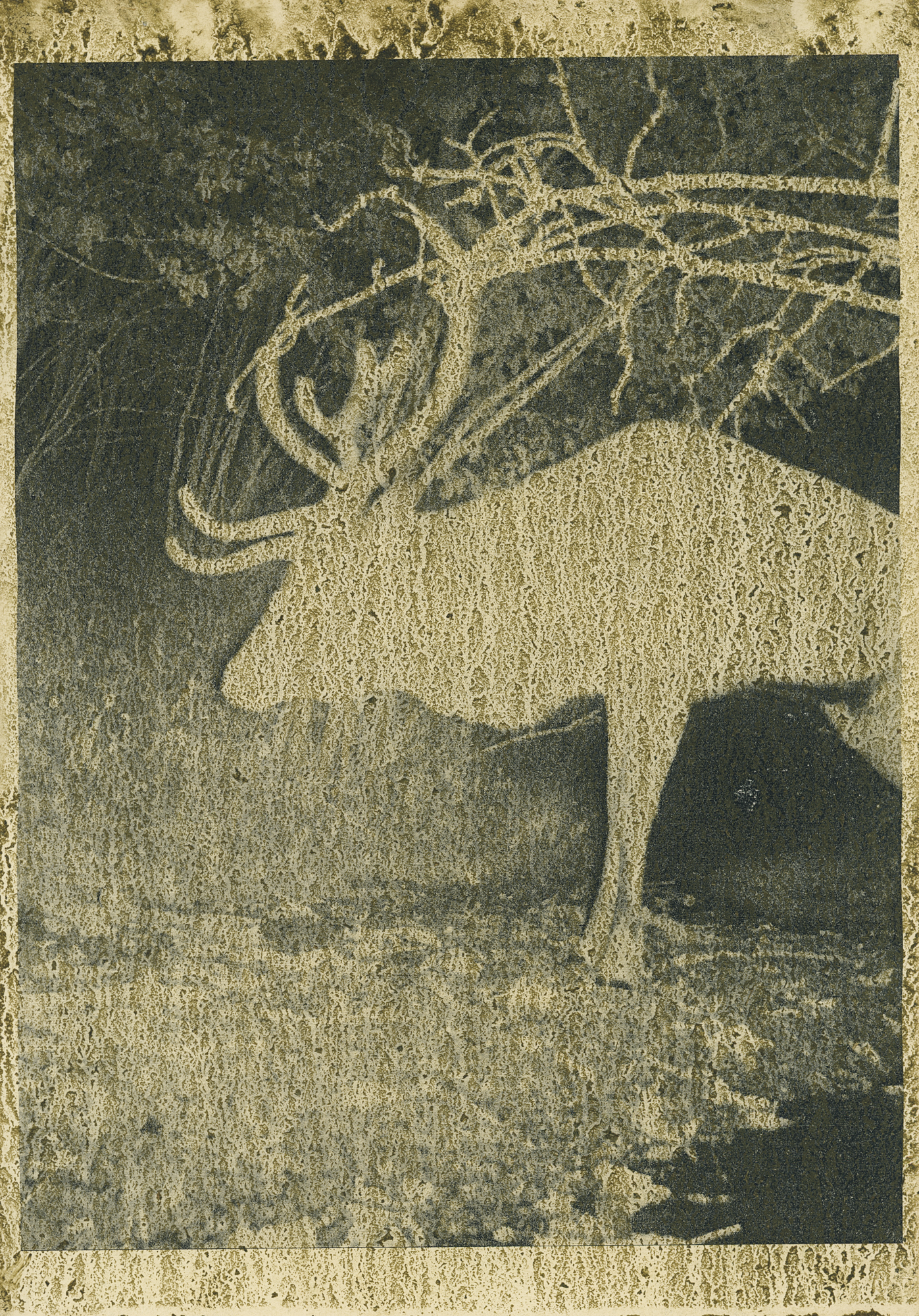 np040.jpg