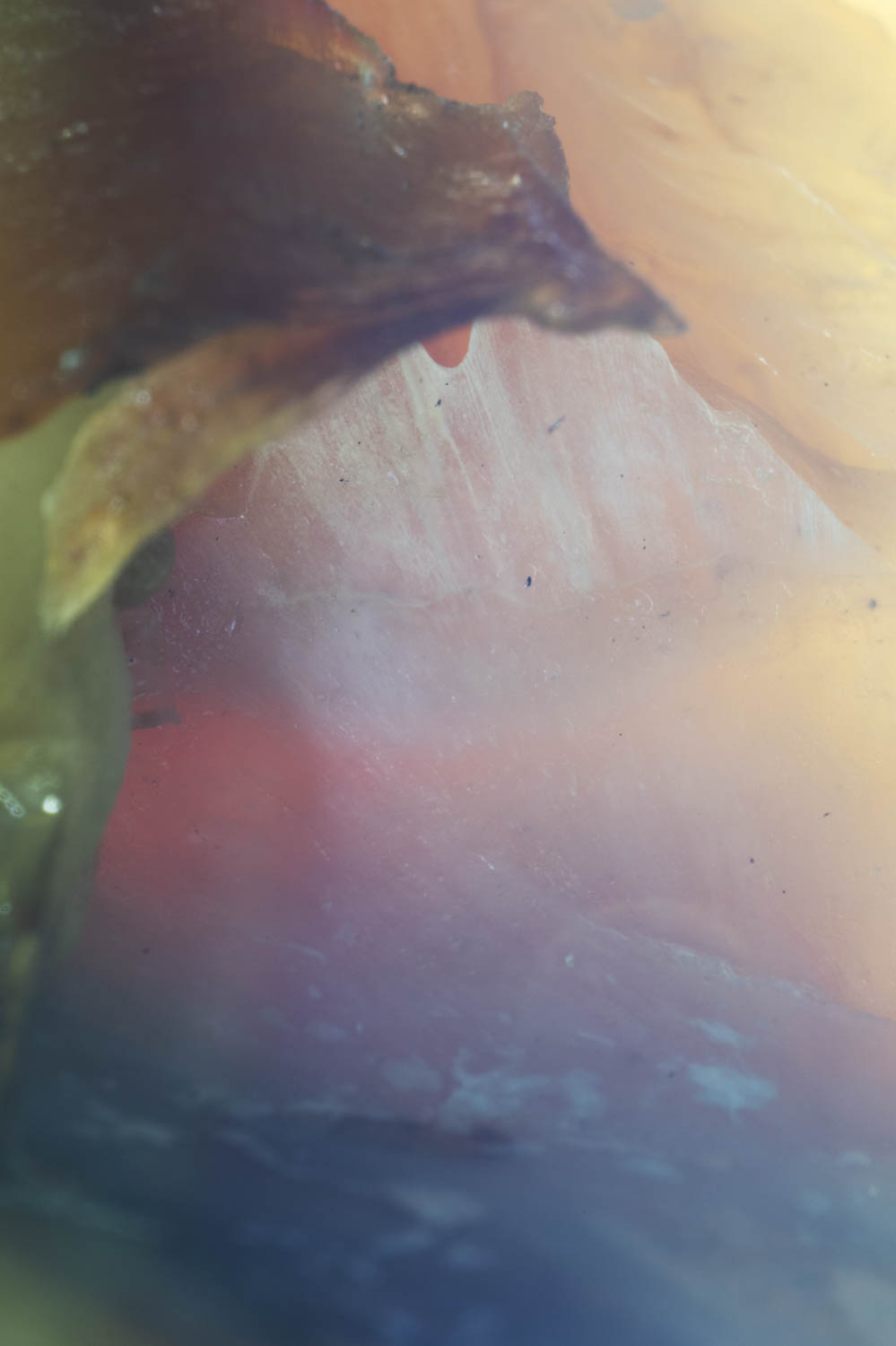 sgi-20-02-7119.jpg