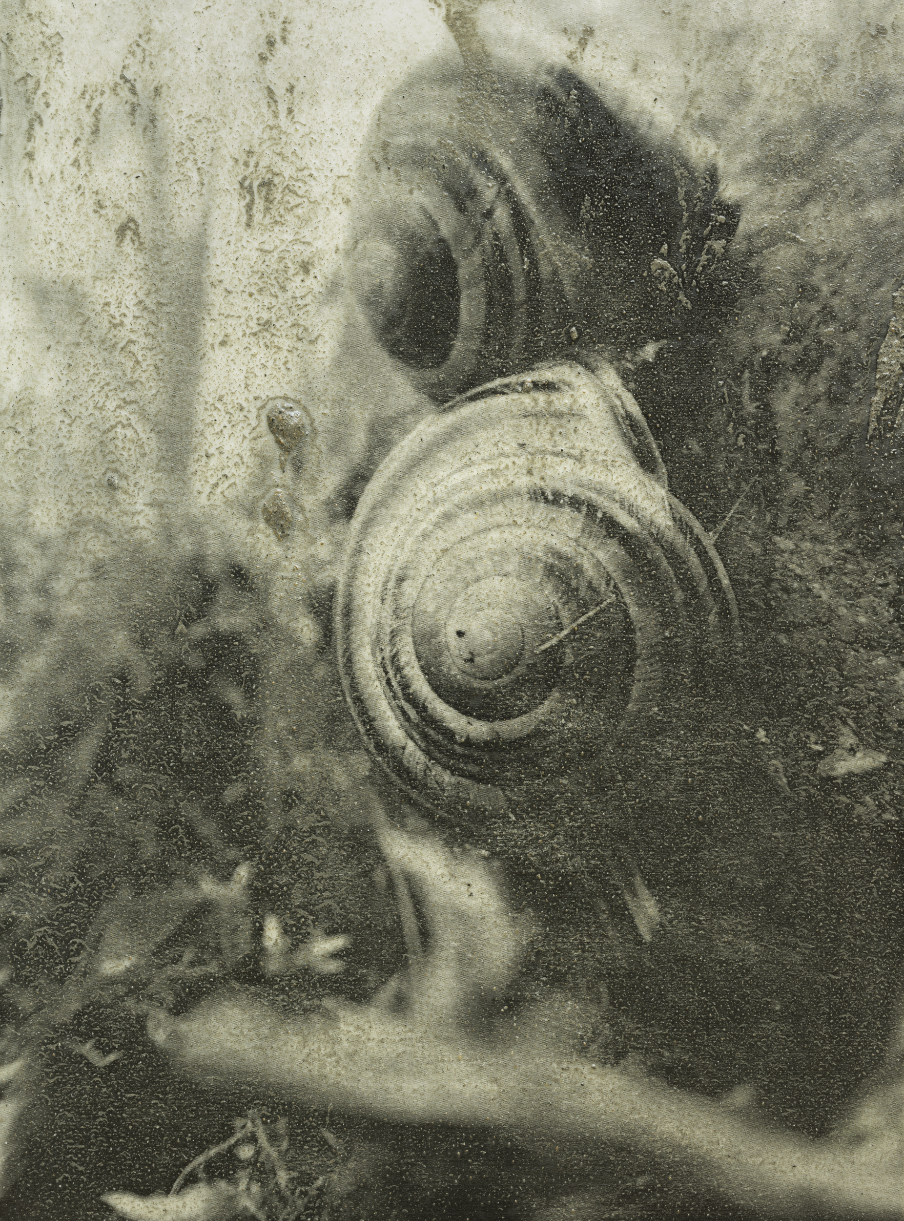 Stephen Gill Prints