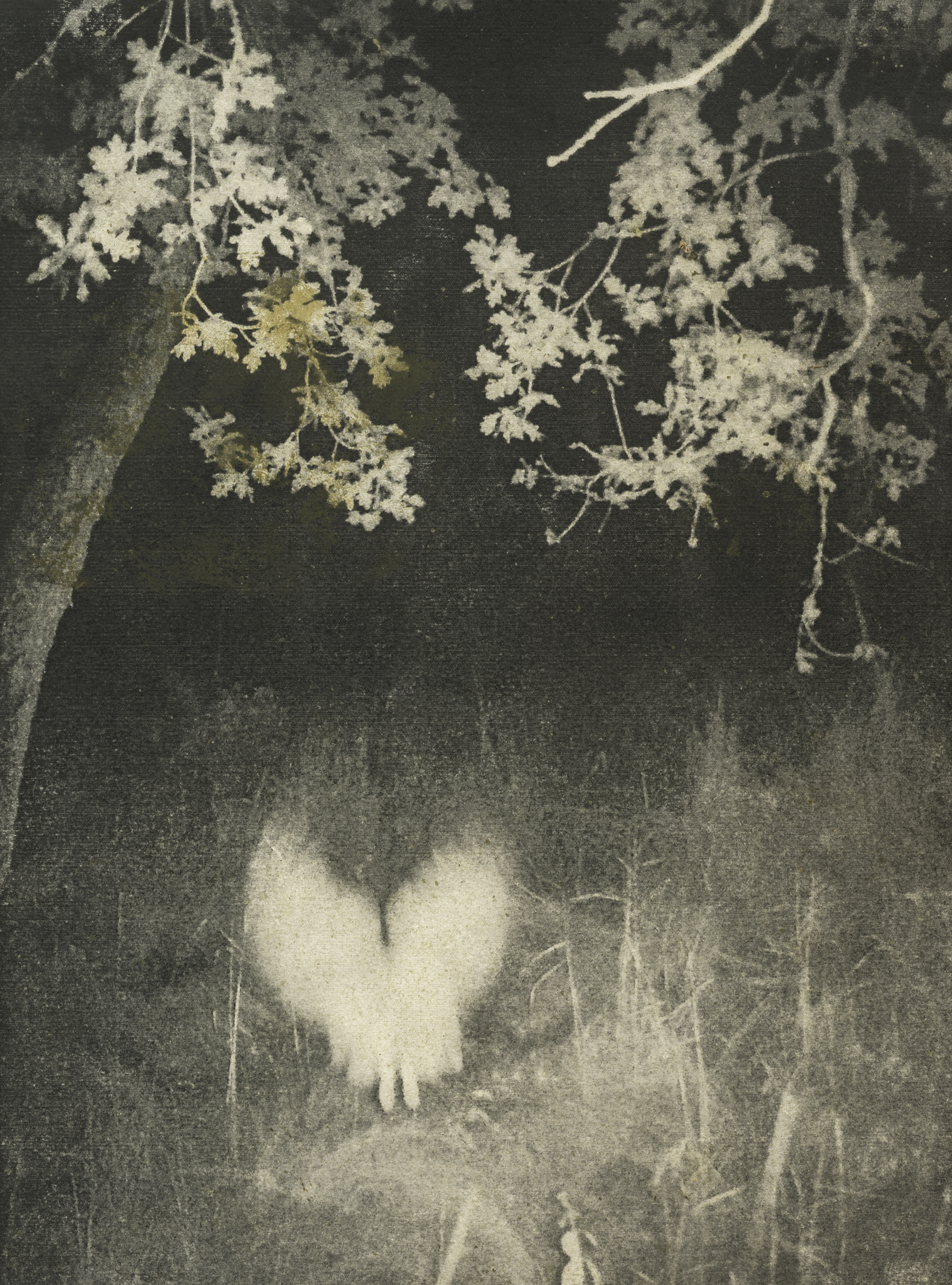 サイン入り❗️新品【Night Procession】Stephen Gill