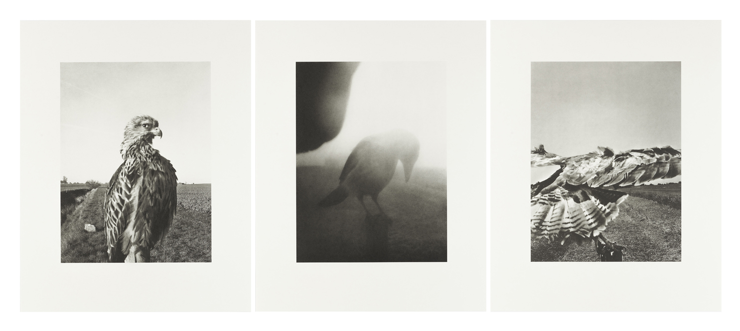 三部正博　Collotype Photography The Pillar - Collotype set of 3