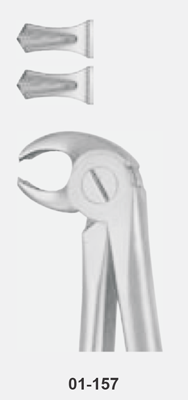 Tooth Forceps, for children, without spring, for lower molars, FIG. 22 S