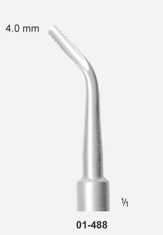 Tooth Elevator, Lindo-levian Serrated, 4 mm - Right