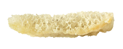 Cortical/Cancellous Bone Block, Rocky Mountain 5x10x10mm