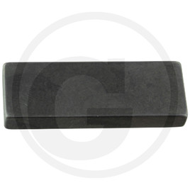 AS MOTOR MEDBRINGARE