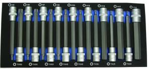 BITSHYLSSATS INSEX 1/2 LÅNG