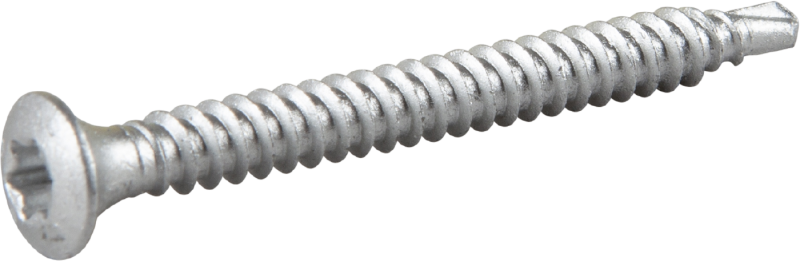 TAKSKRUV 4,8X50 MED BORRSPETS TX25 SILVER RUSPERT