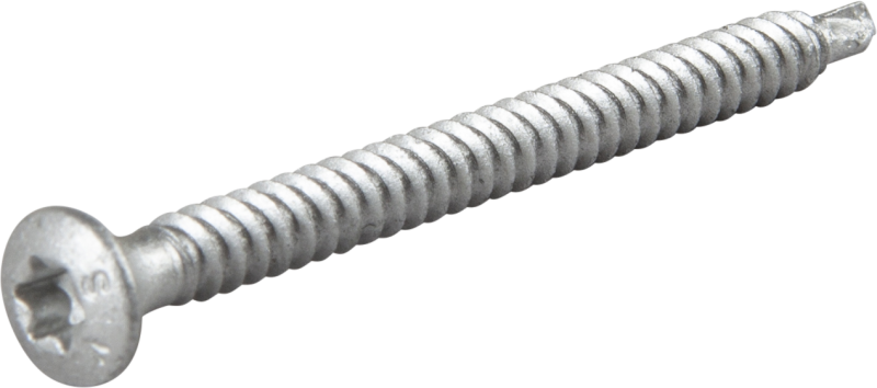 TAKSKRUV 4,8X60 MED BORRSPETS TX25 SILVER RUSPERT