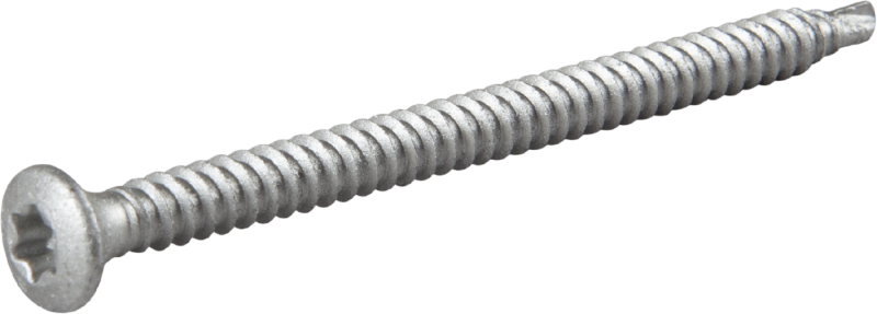 TAKSKRUV 4,8X70 MED BORRSPETS TX25 SILVER RUSPERT