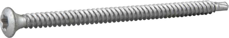 TAKSKRUV 4,8X80 MED BORRSPETS TX25 SILVER RUSPERT