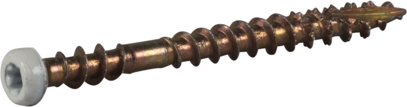 SOCKELSKRUV 3,9 VITLACKERAD TX10