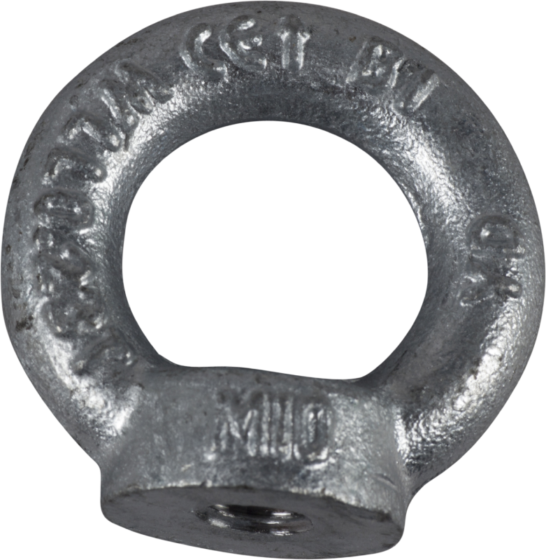 LYFTÖGLA GÄNGAT HÅL FZV 45MY DIN582