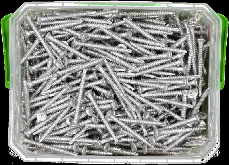 TAKSKRUV 4,8X50 MED BORRSPETS TX25 SILVER RUSPERT