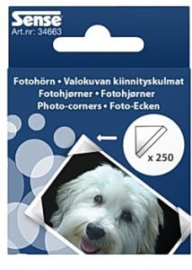 Fotohörn (250)
