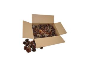 Tallkottar 6L ca 125/FP