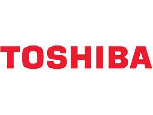 Toner TOSHIBA TFC415EC Cyan