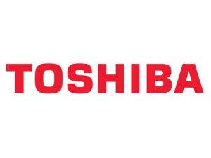Toner TOSHIBA TFC338EM-R Magenta