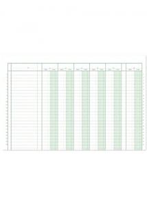 Esselte Journalbok 366/48 11D 5E