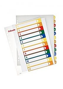 Esselte Plastregister Projektindex A4+ 1-12 (set om 12 blad)