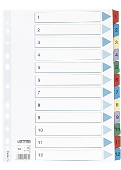 Esselte Register Mylar A4 1-12 multifärgat (set om 12 blad)