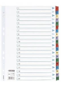 Esselte Register Mylar A4 1-20 multifärgat