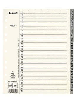 Esselte Pappregister System Servo A4+ 1-31 grå