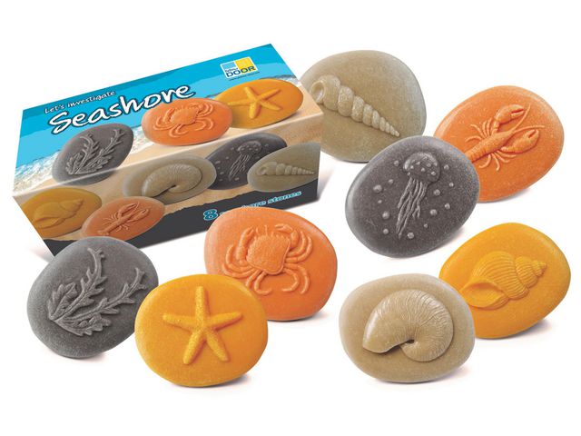 Undersök Havet av sten 8/fp