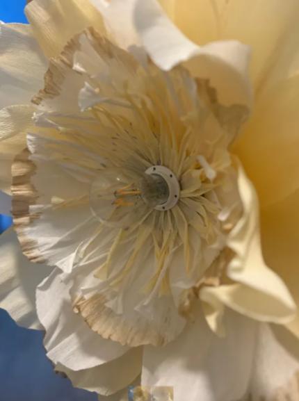 Kräppapper kraftigt 180gr Vinröd