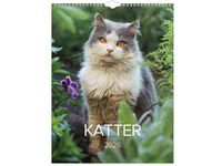 Väggkalender Stora Kattkalendern 2026