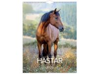 Väggkalender Stora Hästkalendern 2026