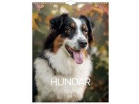 Väggkalender Stora Hundkalendern 2026