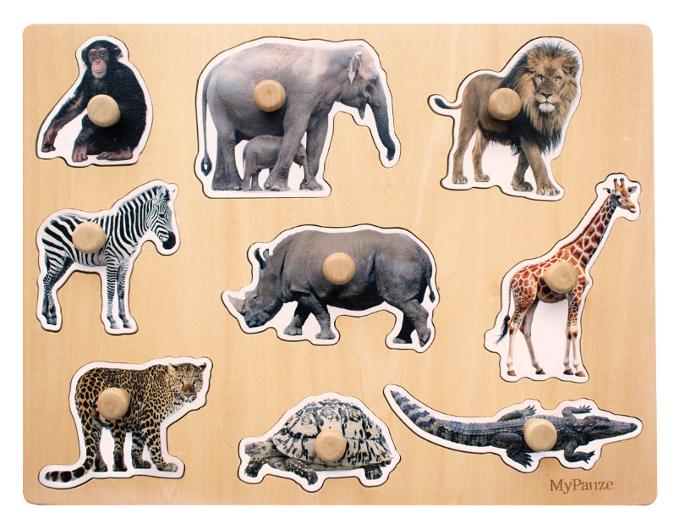 Knoppussel vilda djur