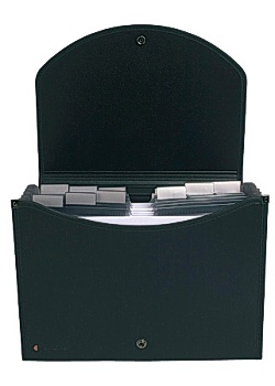 Exacompta Hemarkiv 13 flikar svart