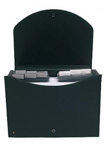 Exacompta Hemarkiv 13 flikar svart