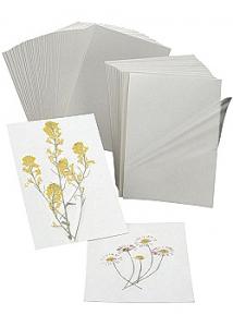 Kontaktplastkort (50)