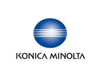 Toner KONICA MINOLTA A11G251 TN216Y gul