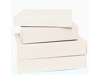 Arkivkartong A4 80 mm 600g vit 100/FP