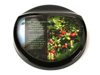 Displaylock till COFFEE QUEEN 5L