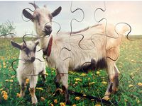 Pussel bondgårdsdjur 8 olika pussel