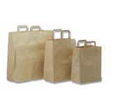 Bärkasse papper 16L brun 200/FP