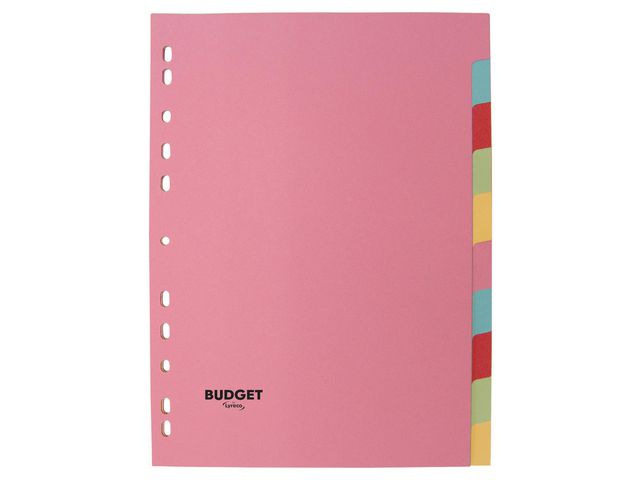 Kartongregister  budget A4 10-flik