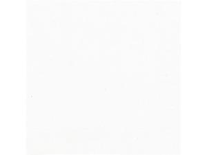 Servett DUNI 1-lags 33x33cm vit 500 fp