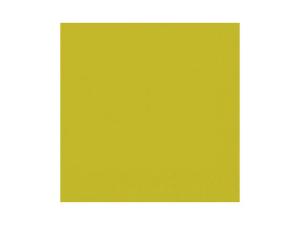 Servett DUNI 1-lags 33x33cm kiwi 500 fp