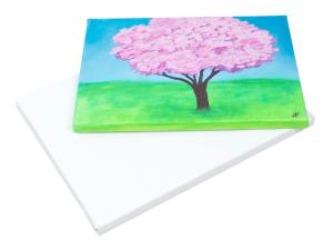 Målarduk 40x60x1 7 cm 5 fp