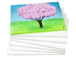 Målarduk 90x120x3 7 cm