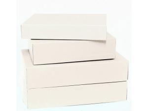 Arkivkartong A4 80mm vit 100 fp