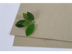 Växtpresspapper 400x470mm 180g 250 fp