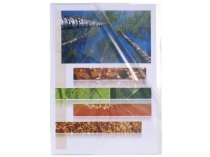 Aktmapp EXACOMPTA A4 0 12mm klar 100 fp