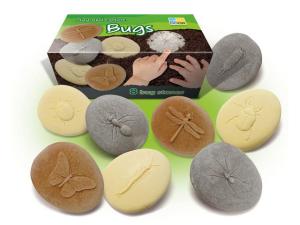 Undersök insekter av sten 8 fp