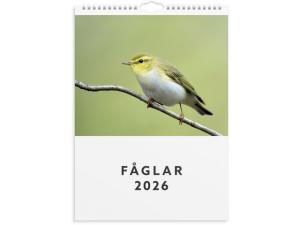 Väggkalender 2026 Fåglar